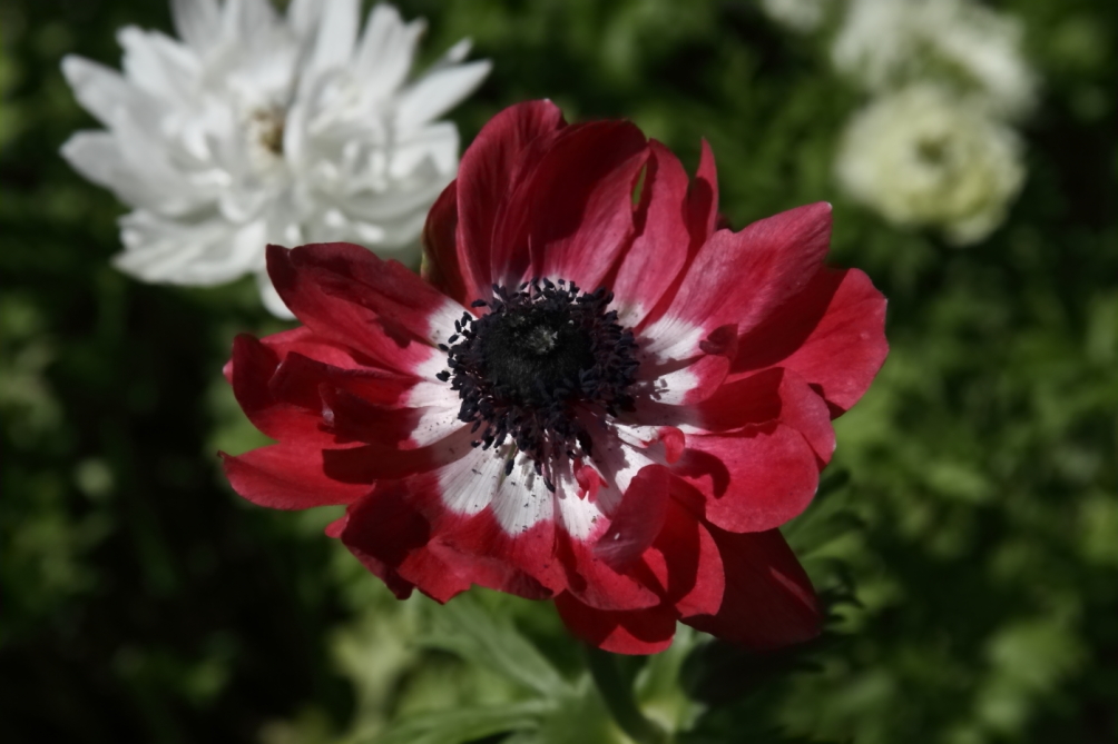2012 05 20 3991